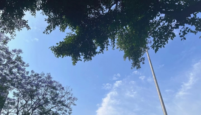 明后天最高气温将升至17到18℃j9国际站北京今天白天晴转多云