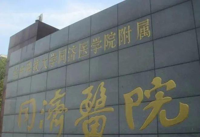 （品尊三期）网站__上海房天下j9国际站2025品尊国际三期(图7)